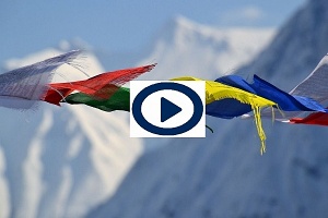 Episode #10 où Célia renoue les fils d'une vie amputée.